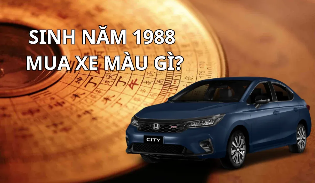 Mau sac ki hop va cach hoa giai cho nguoi sinh nam 1988